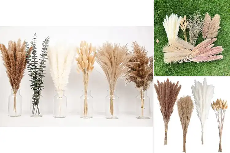 Detailed view of Best Boho Party Decor