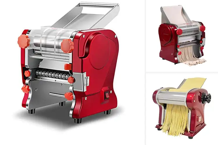 Detailed view of 10 Best Commercial Noodle Cutters Now