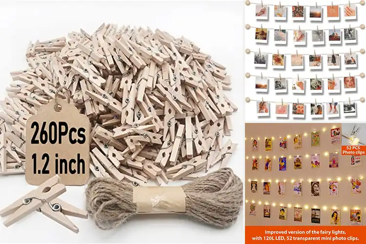 Detailed view of Best Photo Display Clips