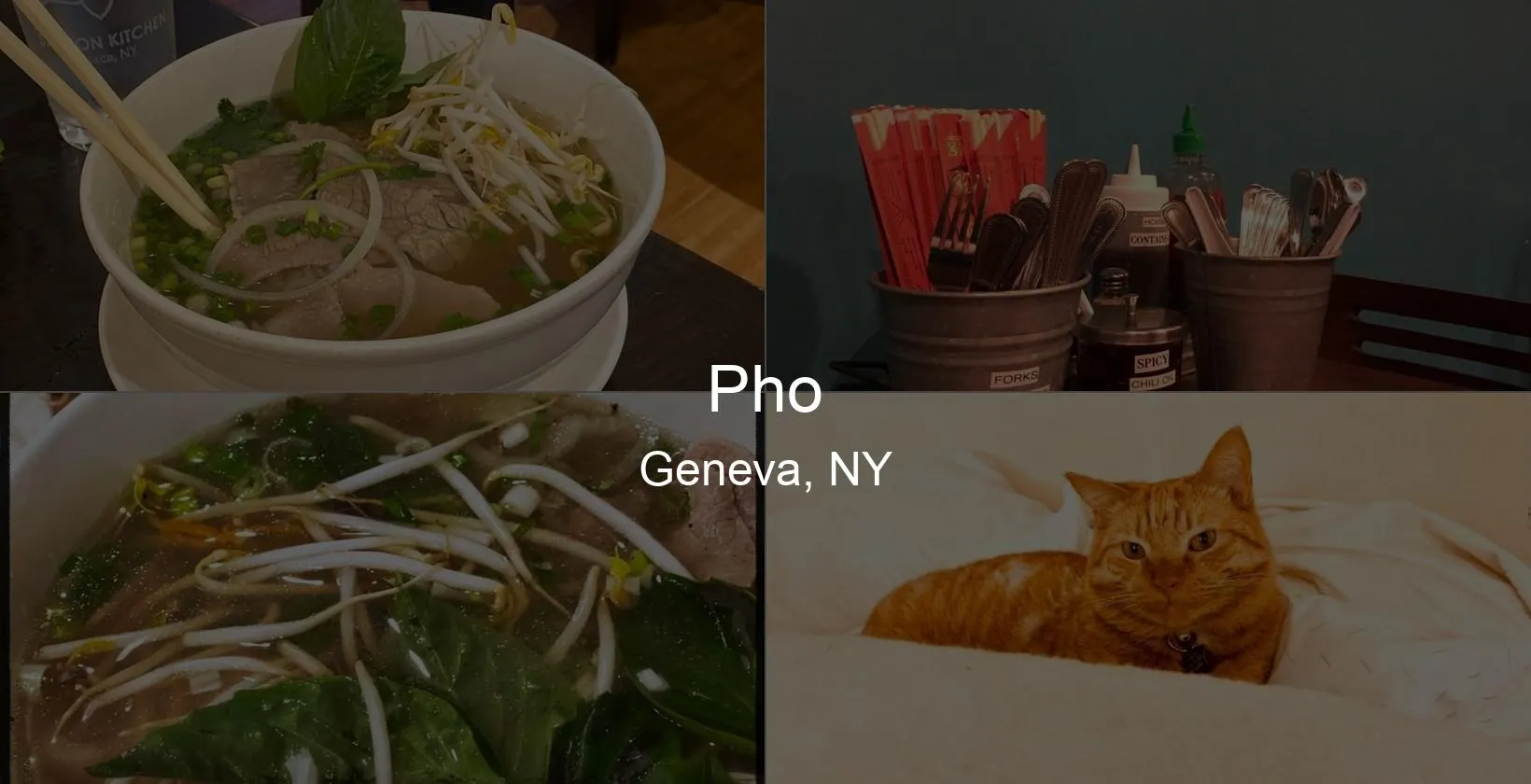 Photo of Pho in Geneva, NY