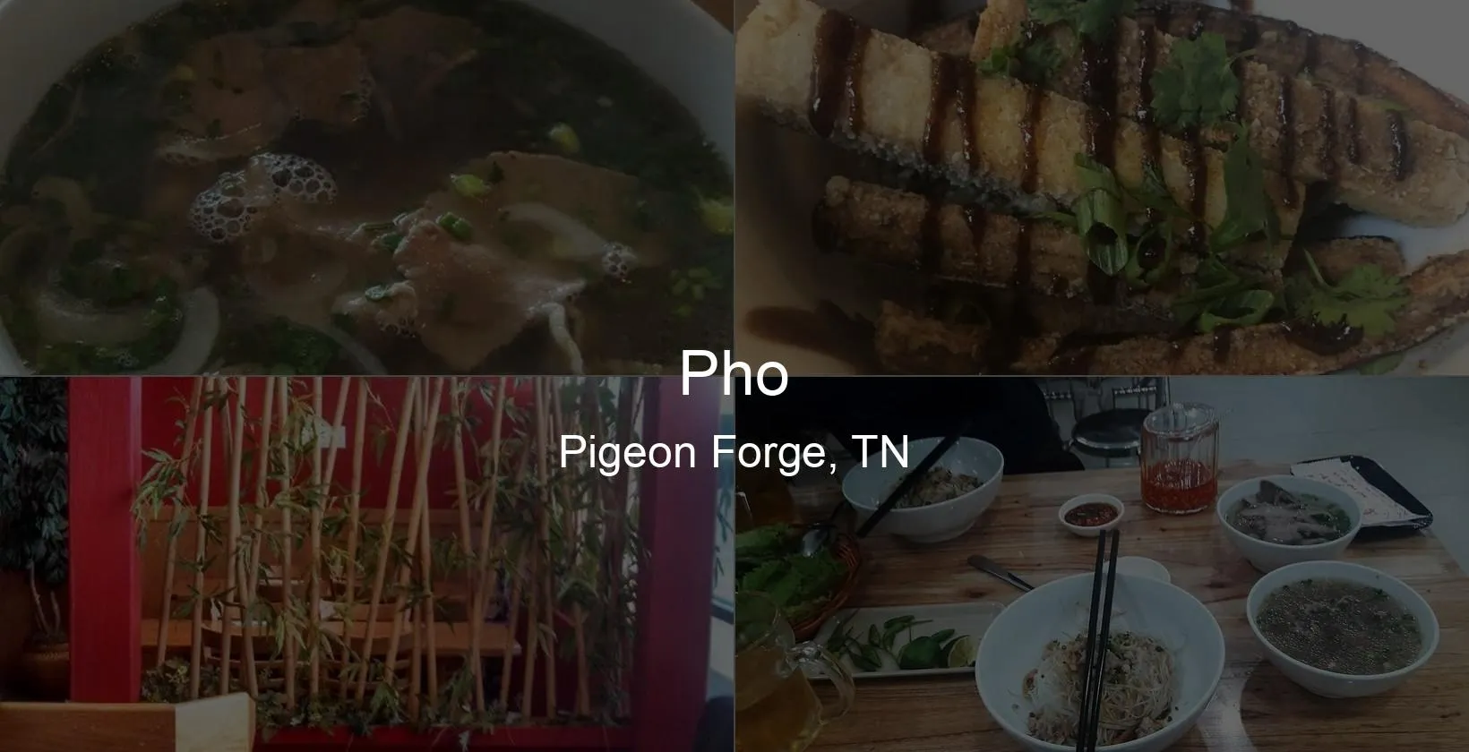 Photo of Pho in Pigeon Forge, TN
